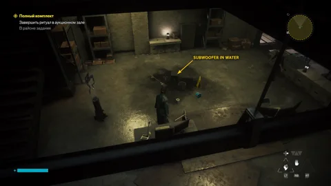 The subwoofer standing in the puddle by the caution sign, arrow added