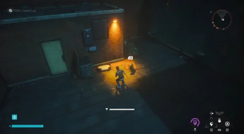 Mysterious dog on the high open rooftop in The Park