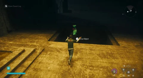 Dropping through the second hatch to return directly to the dog
