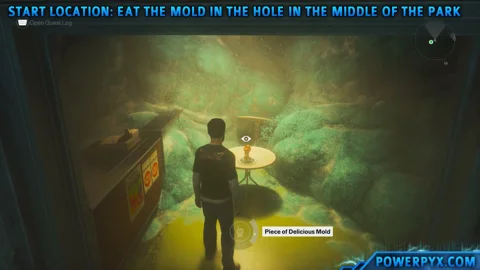 The Piece of Delicious Mold on the cafe table in the central pit