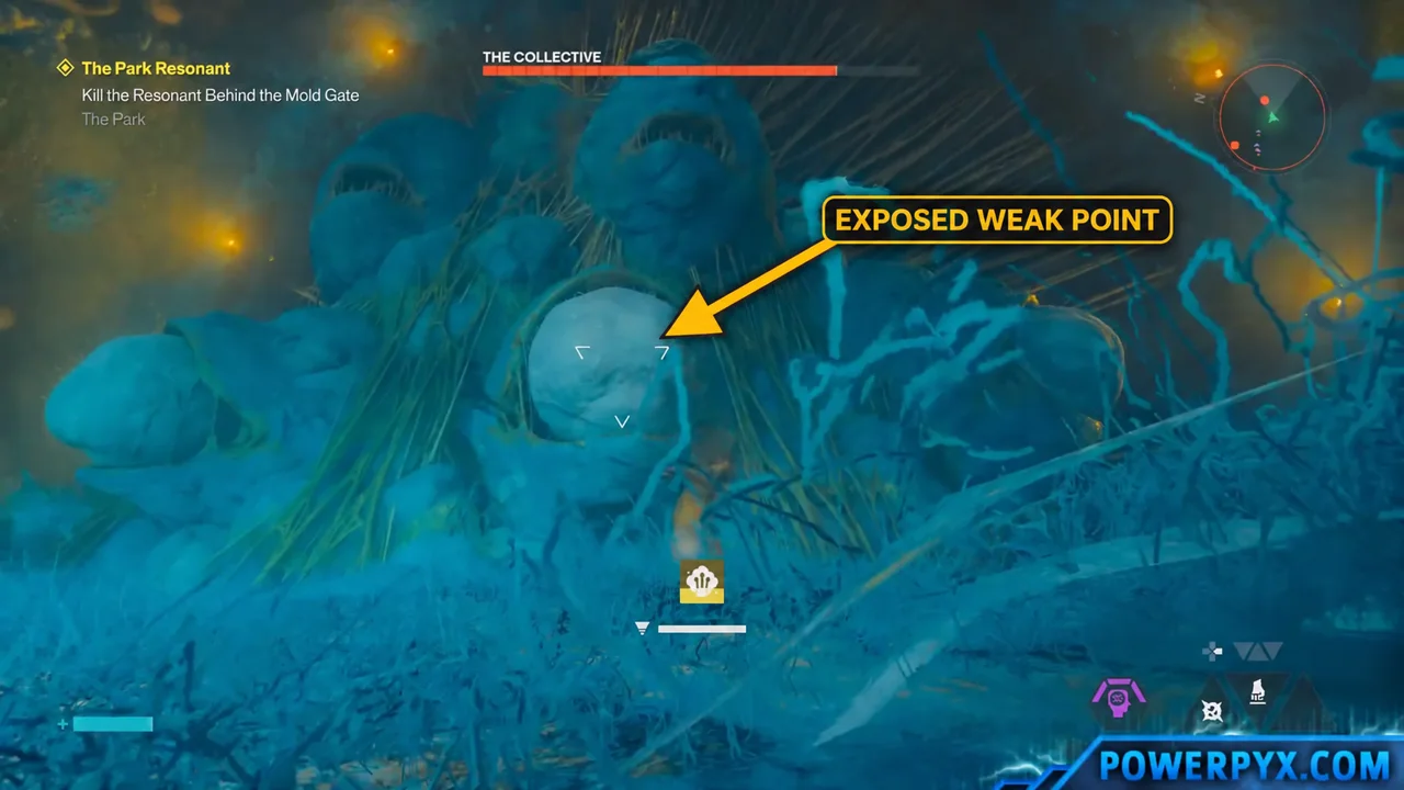 The exposed weak point, arrow added