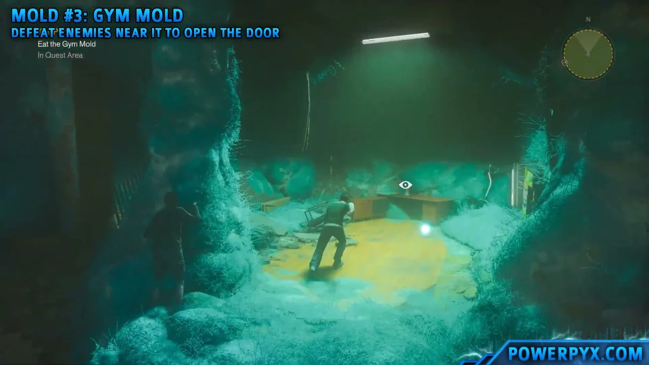 The Gym mold on the reception desk