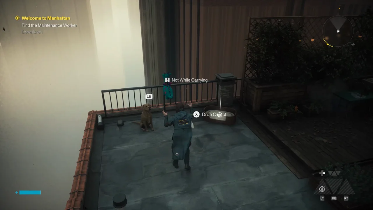 Fetch the rooftop dog toy and return it